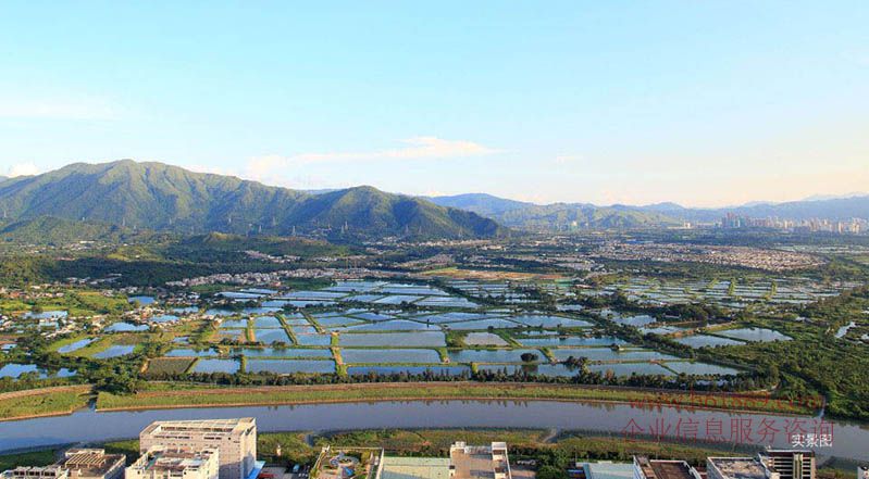 長富金茂大廈(CFC長富中心)寫字樓 景觀圖片