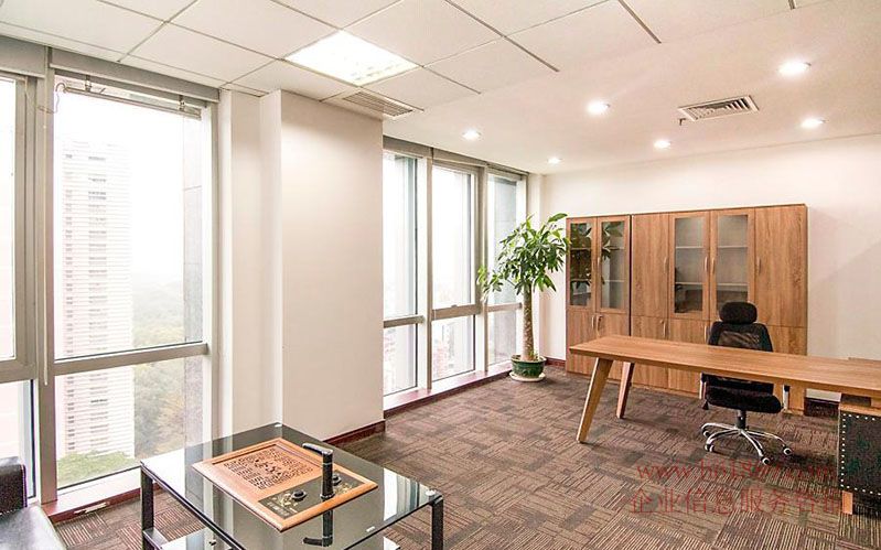 中央西谷大廈 福田 新洲片區(qū) 實用率高 戶型方正 優(yōu)惠出租 裝修圖片