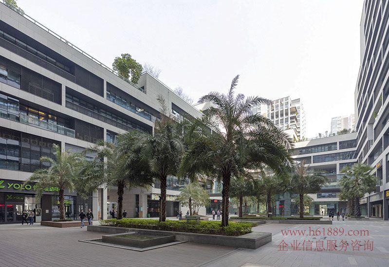 金谷6號(深業(yè)泰然大廈)贈獨立大陽臺 電梯口全辦公家私 多套出租 周邊環(huán)境圖片
